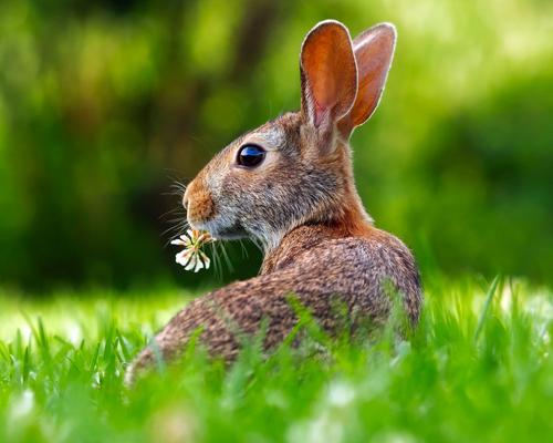 Ostern im Münsterland