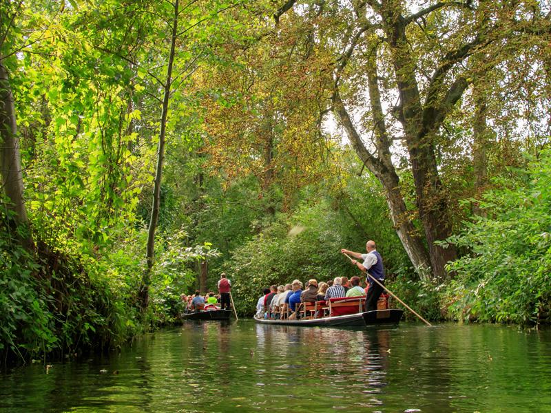 Spreewald erleben