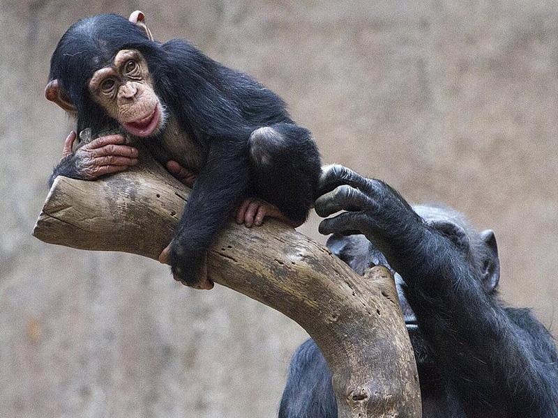 Zoo Leipzig