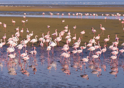 Namibia Flugreise nictours