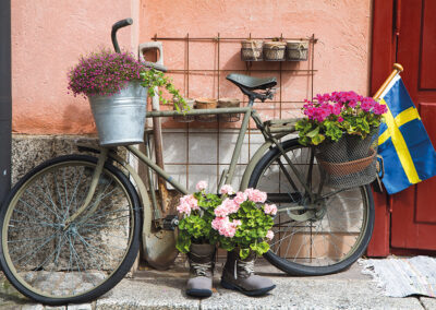 Schweden Stockholm Reisebegleitung nictours