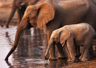 Namibia Flugreise nictours