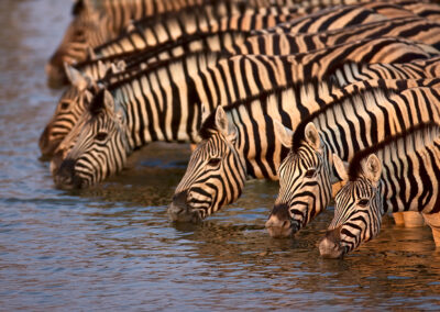 Namibia Flugreise nictours