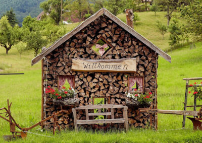 Idyllischer Schwarzwald