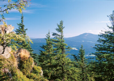 Kristallschiff auf der Donau Busreise nictours 2026