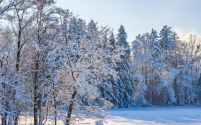 Winterfahrt mit der Weißeritztalbahn