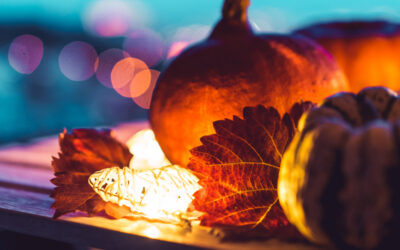 HERBST IN DER DAHLENER HEIDE