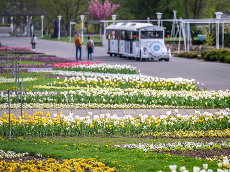ega-Tagesfahrt-nictours-2026