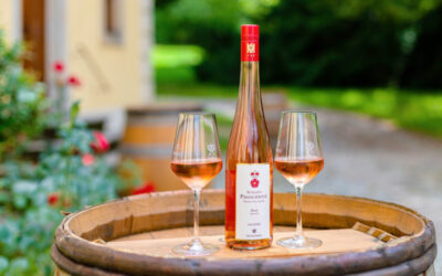 ROMANTIK IN DEN ELBWEINDÖRFERN