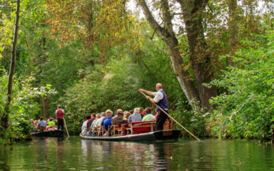 DEN SPREEWALD HAUTNAH ERLEBEN