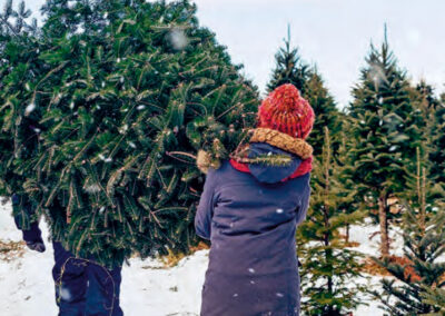 Mein Weihnachtsbaum aus Finnland