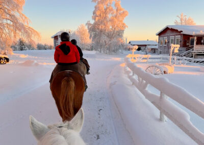 Erlebnisreise Lappland mit nictours 2027