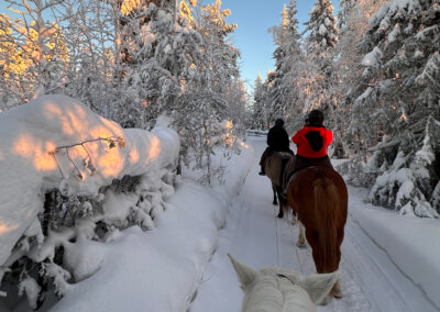 Erlebnisreise Lappland mit nictours 2027