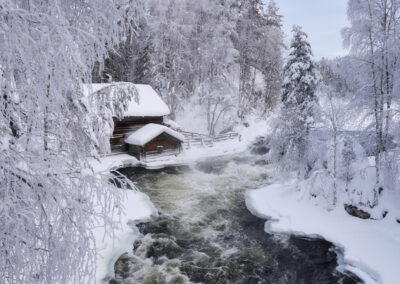 Erlebnisreise Lappland mit nictours 2027