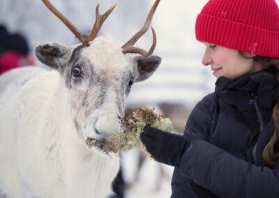 Erlebnisreise Lappland mit nictours 2027